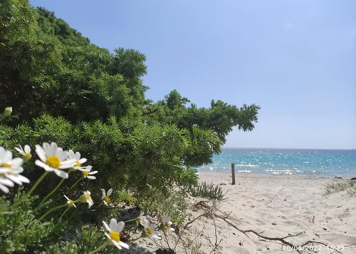 La Perla E Il Corallo * Alghero